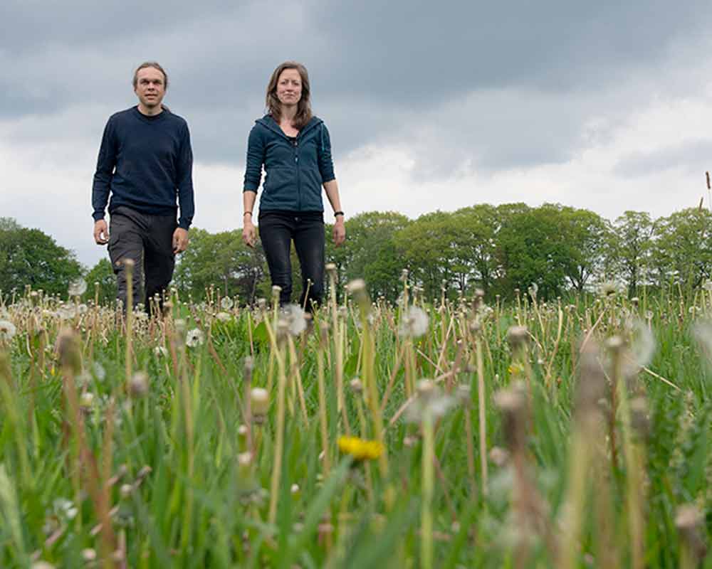 grondsteun-bijdrage-initiatieven-donatie-investering-depatrijs-1 Achtergrond Achtergrondinformatie over de Stichting Grondsteun, de doelstellingen van de stichting, uitleg over biodiversiteitsherstel en veelgestelde vragen.