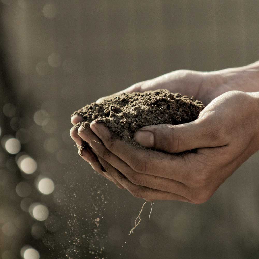 prond-voor-de-patrijs-foto-boer Stichting Grondsteun Stichting Grondsteun ondersteund natuurinclusieve landbouw door donaties en leningen op te halen om landbouwgrond te verwerven en ter beschikking van de ondernemer te stellen om te boeren met biodiversiteit. Informatie over Stichting Grond voor de Patrijs. Bijdragen aan duurzame landbouw.